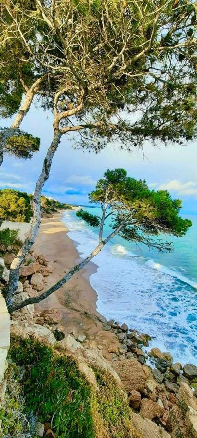 Апартаменты Tropikana Миами-Плайя Экстерьер фото